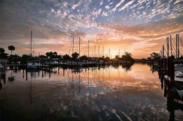 water view with a dock