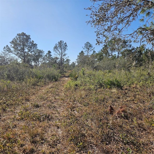 Sugarfoot Ave, Lake Wales FL, 33859 land for sale