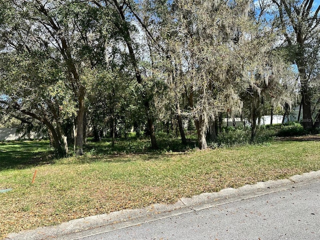 30147 Vienna Woods Ln, Wesley Chapel FL, 33545 land for sale