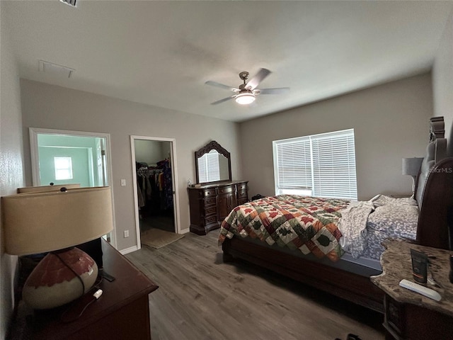 bedroom featuring hardwood / wood-style flooring, ceiling fan, a closet, and a spacious closet