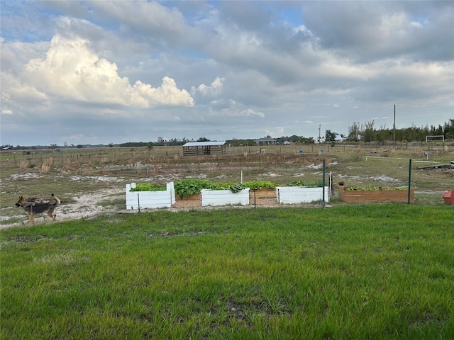 view of yard featuring a rural view