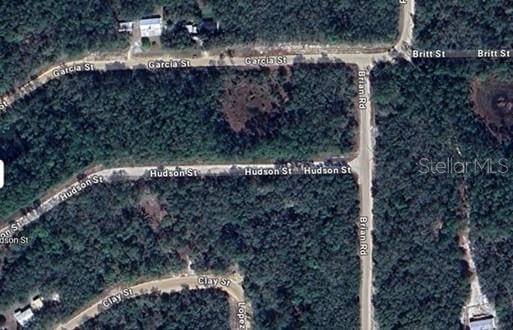 Hudson St, Interlachen FL, 32148 land for sale