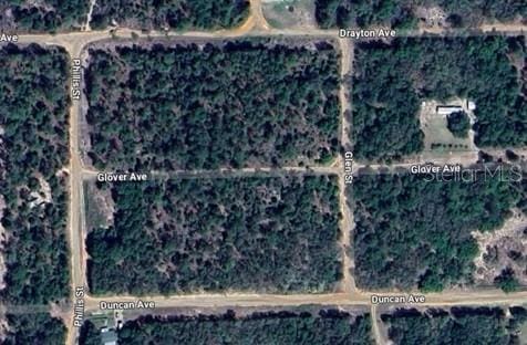 Glover Ave, Interlachen FL, 32148 land for sale