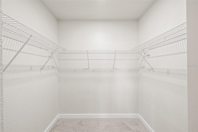 walk in closet featuring carpet