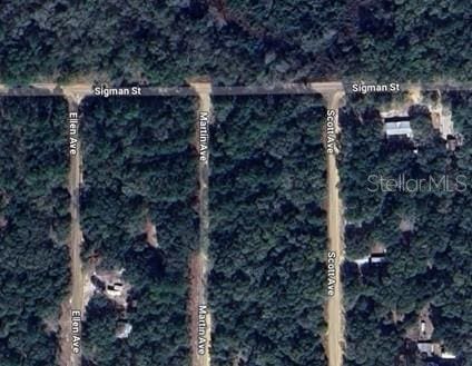 Martin Ave, Interlachen, FL 32148
