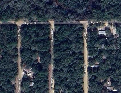 Martin Ave, Interlachen FL, 32148 land for sale