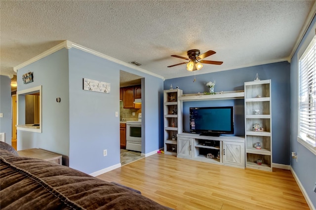 living room featuring ceiling fan, light wood-type flooring, crown molding, and a textured ceiling