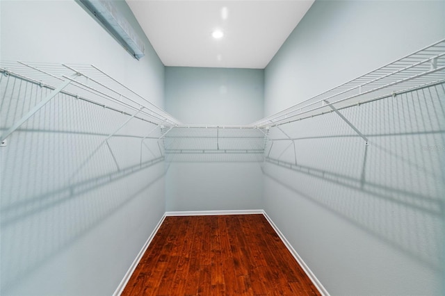 spacious closet featuring wood finished floors