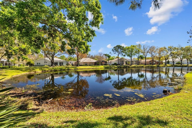 water view with a residential view