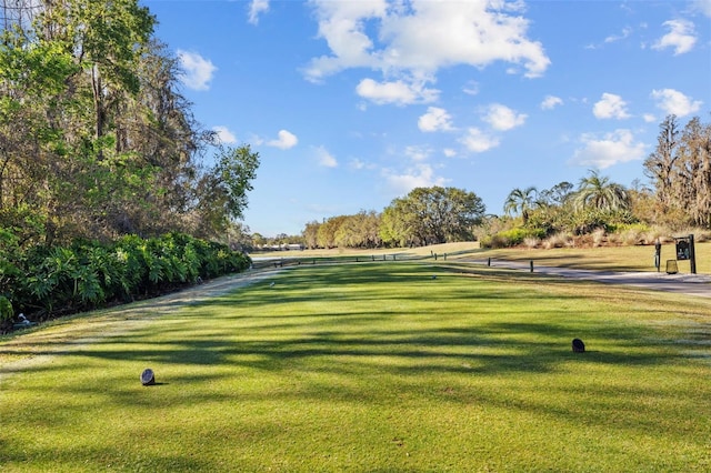 view of community featuring a lawn