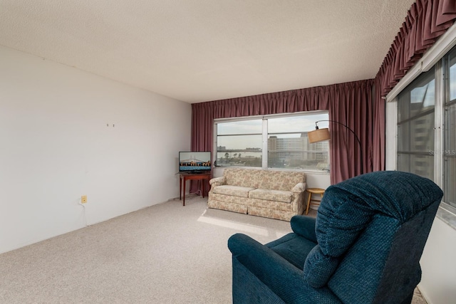 living area featuring carpet and a textured ceiling