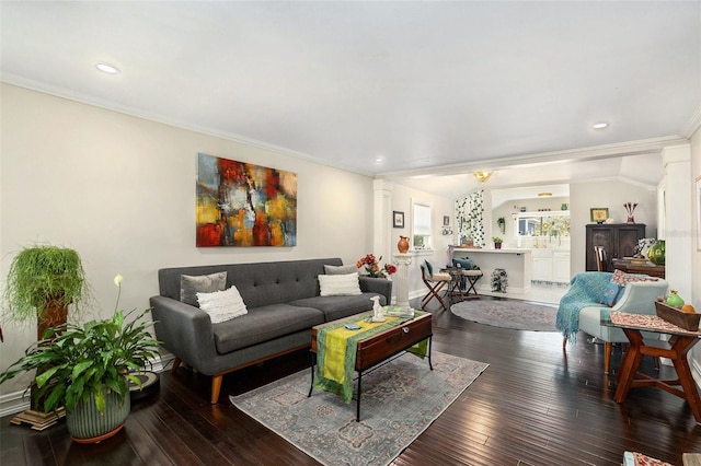 living room featuring crown molding and dark hardwood / wood-style floors