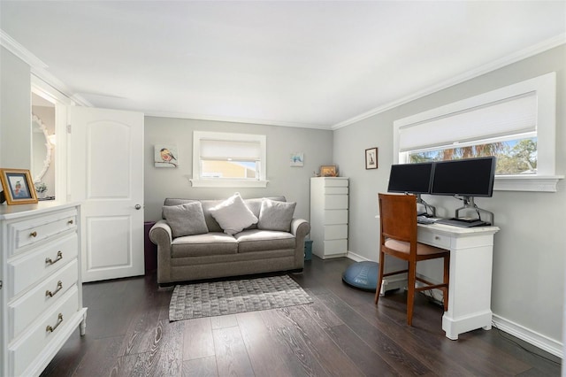 living room featuring crown molding and dark wood-type flooring