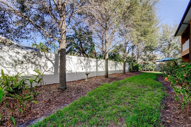 view of yard featuring a fenced backyard