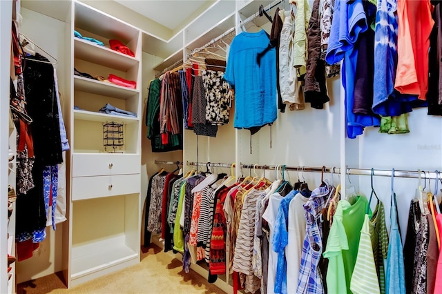 view of spacious closet