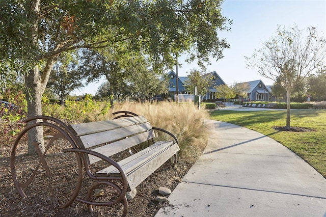 view of community with a yard