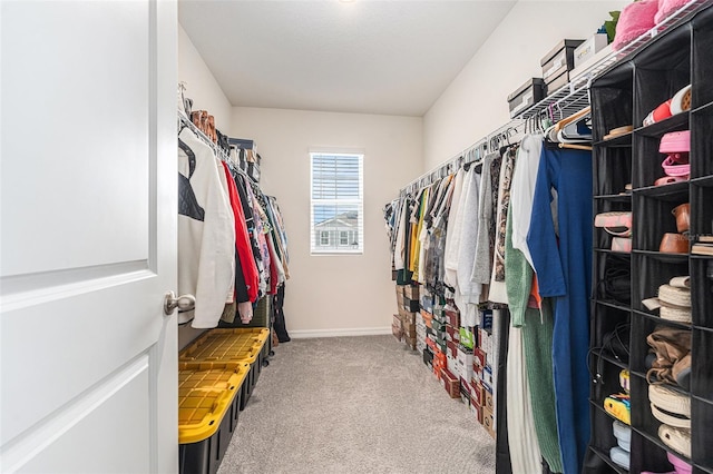 spacious closet with carpet floors