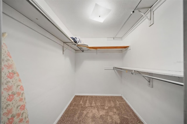 2113 Canal Dr Unit B2, Bradenton, FL 34207 - spacious closet with carpet floors