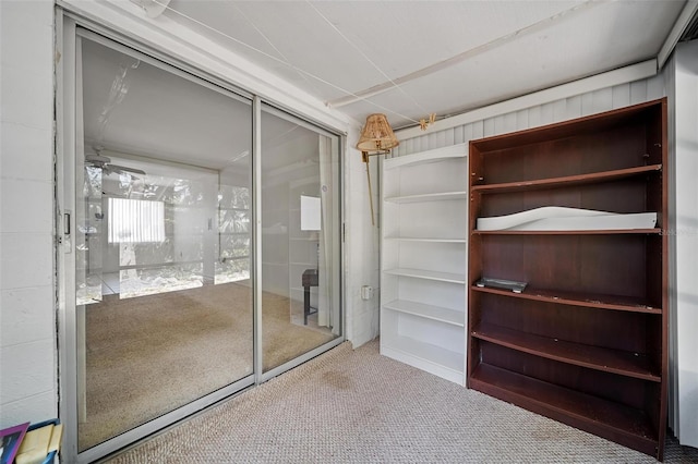 2113 Canal Dr Unit B2, Bradenton, FL 34207 - walk in closet with carpet floors