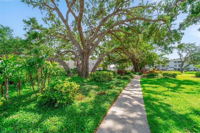 2113 Canal Dr Unit B2, Bradenton, FL 34207 - view of home's community featuring a yard
