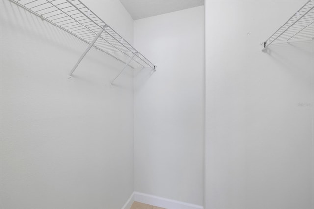 5618 Baywater Dr Unit 5618, Tampa, FL 33615 - view of walk in closet