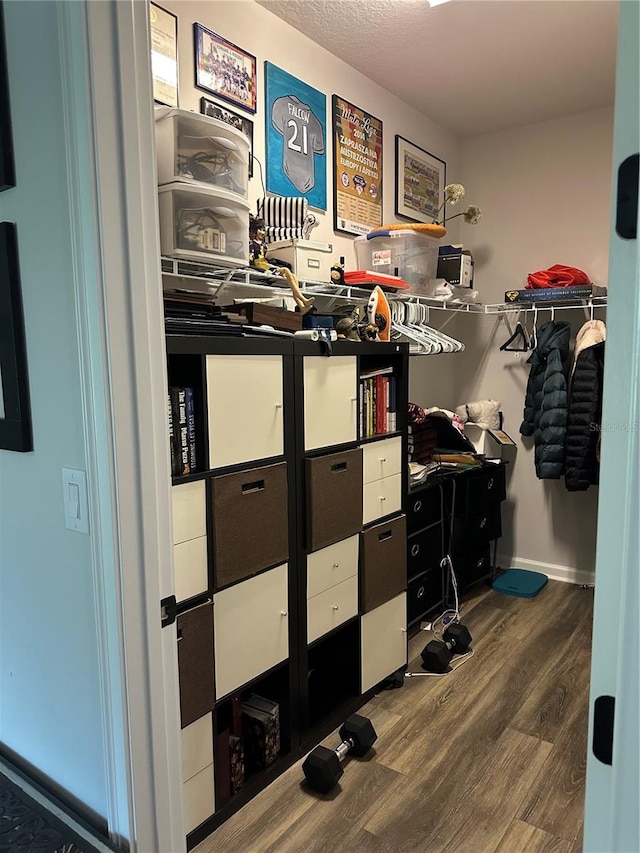 walk in closet featuring wood finished floors