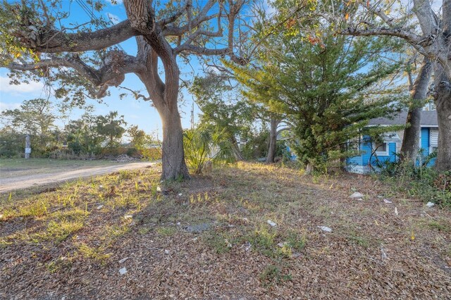 28th St S, Saint Petersburg, FL 33712 - photo 13