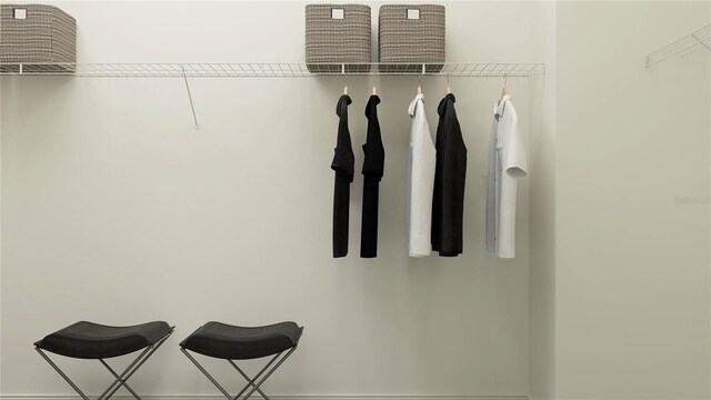 view of walk in closet