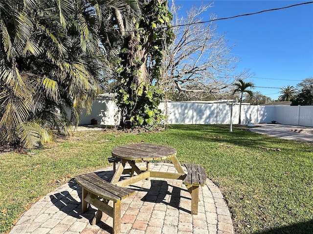 view of yard featuring a patio