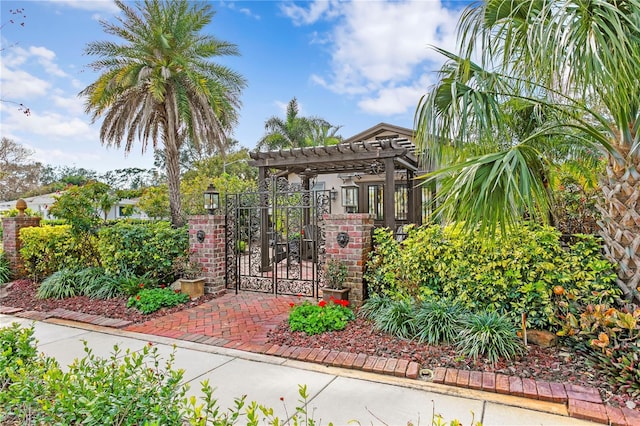 view of gate featuring a pergola