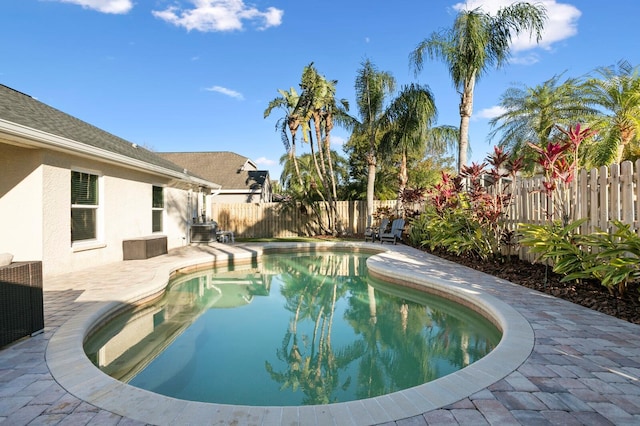 view of pool with a patio area, a fenced backyard, and a fenced in pool