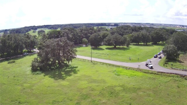 32817 Leonard Rd, San Antonio, FL 33576 - photo 4