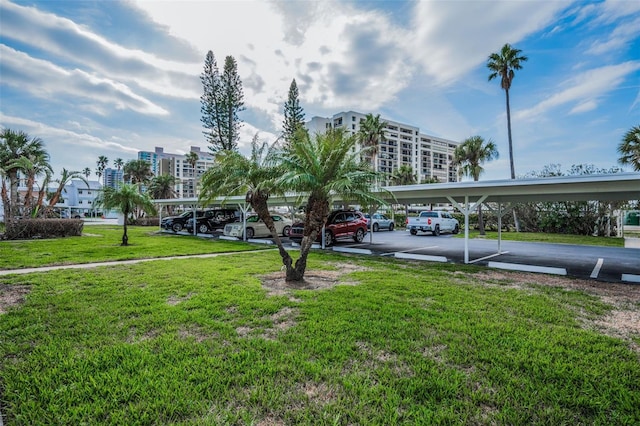 view of property's community with a yard