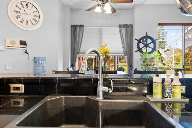 13542 Summerwood Ct, Hudson, FL 34667 - interior details with ceiling fan and sink