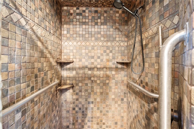 13542 Summerwood Ct, Hudson, FL 34667 - details with tiled shower
