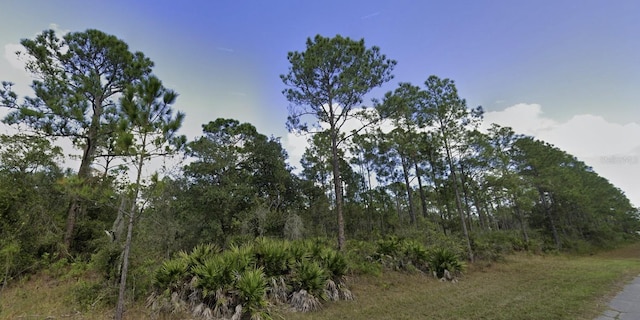 Listing photo 3 for 902 Magnolia Dr, Indian Lake Estates FL 33855