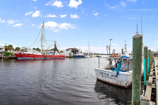 dock area featuring a water view