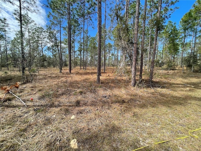 133rd Ave SE, Dunnellon FL, 34431 land for sale