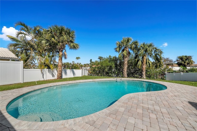 view of pool with a fenced in pool, a patio, and a fenced backyard