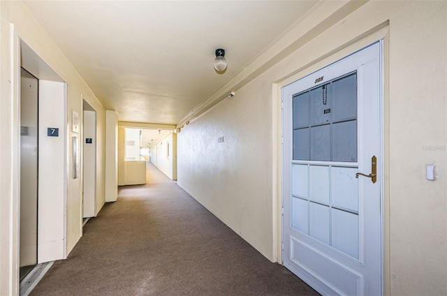 hallway with carpet flooring and elevator