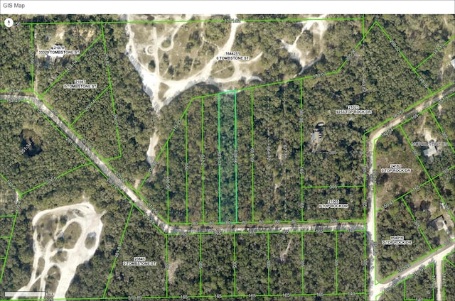 33441 Tombstone St, Webster, FL 33597