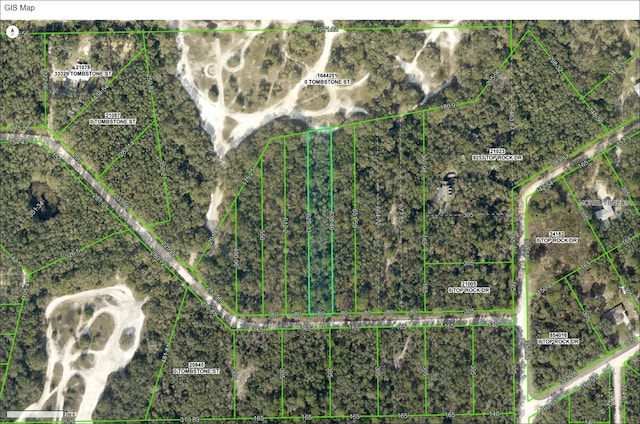 33441 Tombstone St, Webster FL, 33597 land for sale