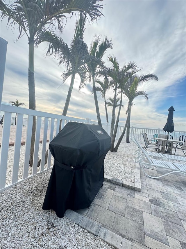view of patio / terrace with a grill