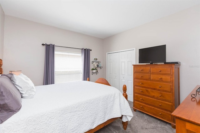 bedroom featuring a closet and carpet floors