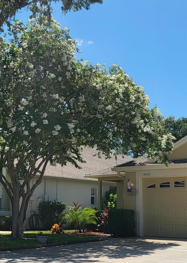 19432 Haskell Pl, Land O Lakes, FL 34638 - view of front of property with an attached garage, stucco siding, and driveway