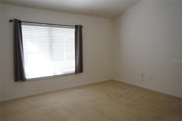 19432 Haskell Pl, Land O Lakes, FL 34638 - spare room with light colored carpet and baseboards