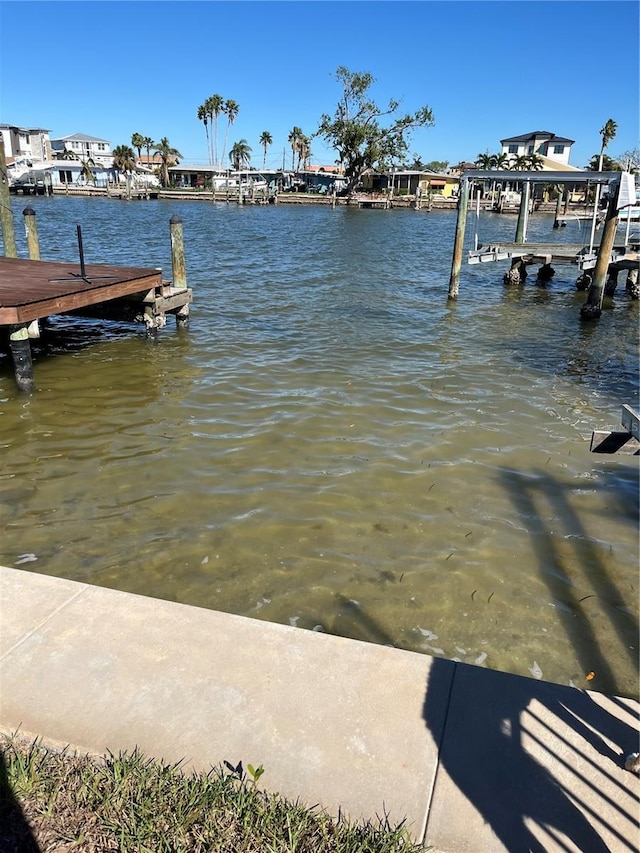 dock area with a water view