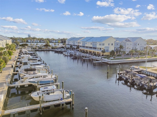 dock area with a water view