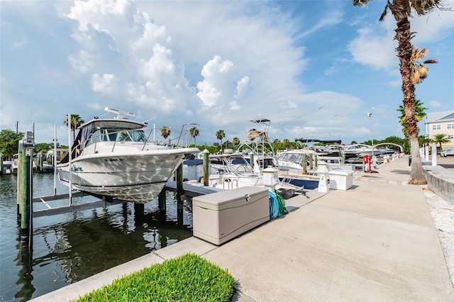 dock area with a water view