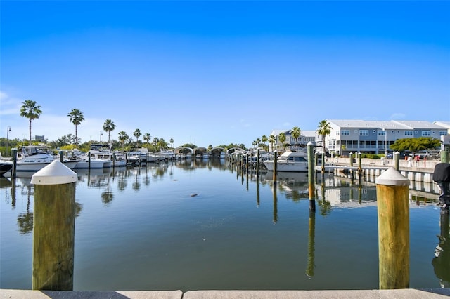 dock area featuring a water view